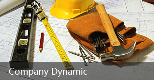Company Dynamic